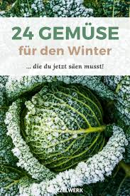 24 Gemuse Die Du Im Winter Anbauen Kannst Wurzelwerk In 2020 Garten Anpflanzen Garten Bepflanzen Garten Pflanzen