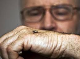 Andrew Hebda visiting Lower Truro for tick talk