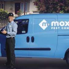 Search for other pest control services in tucson on the real yellow pages®. Moxie Pest Control Pest Control Exterminator Tucson Az Projects Photos Reviews And More Porch