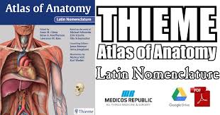 This second edition of volume 3 in the thieme atlas of anatomy series. Thieme Atlas Of Anatomy Latin Nomenclature Pdf Free Download
