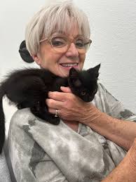 A sweet little fawn in my backyard. Franklin, NC