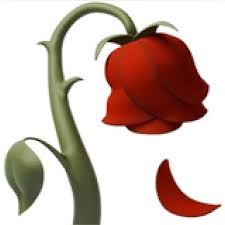 Ios Camera Image Liked On Polyvore Featuring Filler Rose Emoji Wilted Rose Apple Roses