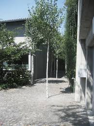 Birch Trees In Paving House Schwarz I Peter Zumthor By Fliegevogel Via Flickr Peter Zumthor Architecture Concrete Houses
