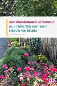 Think of your flower pots and planters as frames for your plant art—they can be simple and sleek to let the green stuff do the talking, or create a statement in their own right. Low Maintenance Perennials For Sun And Shade Andrea Dekker