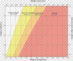 weight and height percentile body mass index growth chart