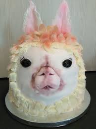 Alpaka Torte Alpaka Torten