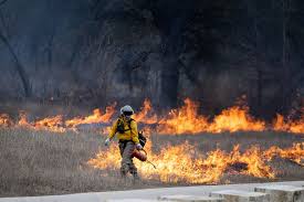 Austin is at a 'potentially historic' risk of wildfires Tuesday. Here's how to prepare. | KUT Radio, Austin's NPR Station