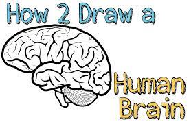 How To Draw A Human Brain Easy Steps Drawing Lesson For Beginners How To Draw Step By Step Drawing Tutorials