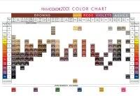 Framesi Framcolor Eclectic Color Chart 2015
