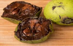 Behold the black sapote, a.k.a the chocolate pudding fruit. Black Sapote Sweet Seduction Meets Superfruit Youdressed