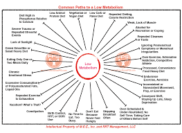 common paths to a low metabolism functional performance