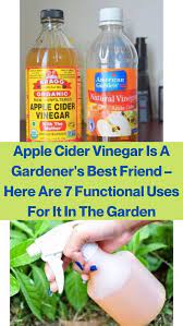 Nifty Uses For Apple Cider Vinegar In The Garden In 2020 Funny Messages Apple Cider Vinegar Uses Diy Face Treatments