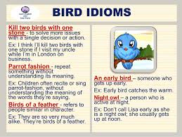 bird idioms learnenglish antriparto english idioms english language idioms learn english