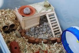 Are you looking for cheap cage small pets cages. Pin By Jessica On Hamster Home And Cage Ideas Hamster Diy Hamster Toys Hamster Cage