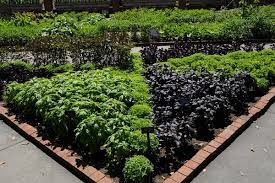 Dream country house surrounded by greenery photos ideas design dream country … Gardening With Herbs Herb Gardening U Of I Extension
