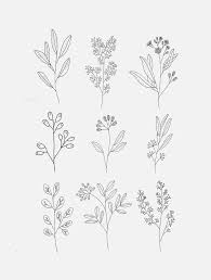 30 Ways To Draw Plants Leaves Flower Line Drawings Botanical Drawings Outline Art