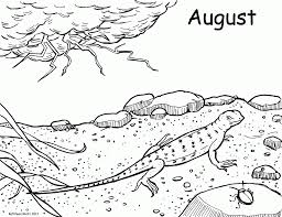 You will love to fill the coloring pages of komodo with bright colors. Komodo Dragon Coloring Pages Coloring Home