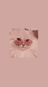 Wallpaper hp gambar kucing 11 blog rahman gambar kucing hitam lingkaran screenshot mata kucing komputer gambar hewan hitam dan putih imut sedang tidur merapatkan Wallpaper Aesthetic Seni Kucing Gambar Hewan Anak Kucing Gemas