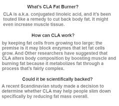 Some supplements are 500 milligram (mg) tablets, others are 1,000 mg tablets. Is It Safe To Take Fat Burners And Cla At The Same Time Quora