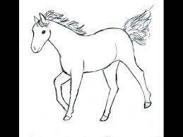 Now you know how to draw a horse step by step! How To Draw A Horse Baby Horse In Simple Steps Youtube