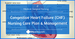 Congestive Heart Failure Chf Nursing Care Plan Management