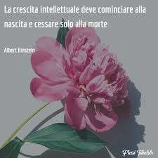 «la stupidità umana è l'unica cosa al mondo che possa dare l'idea dell'infinito.» Frasi Di Einstein Sull Intelligenza E La Stupidita Le 30 Citazioni Piu Belle