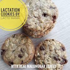 lactation cookies with malung