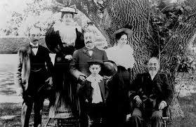 Image result for Sutera levis