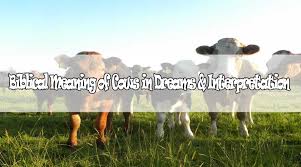 Biblical Meaning Of Cows In Dreams Interpretation Dream Interpretation Interpretation Dream