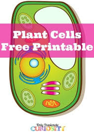 Image tagging powered by thinglink. Pin On Homeschool And Education
