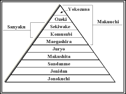 The Structure Of Sumo Wrestling