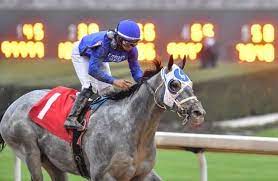 Check spelling or type a new query. Free Pps Now Available For Blue Grass Wood And Santa Anita Derby