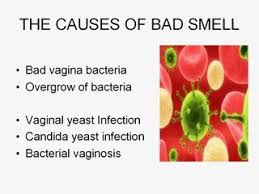 Top 10 ways on how to get rid of vaginal odor. How To Get Rid Of Vaginal Odor Made For Women By Women
