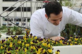 Each sugar flower is delicately handcrafted, petal by petal, out of an edible material called gumpaste. What S On A Plate Edible Flowers Are More Than Just Garnish