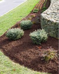 Check spelling or type a new query. Monthly Tips Frontier Landscaping Landscaping Vancouver Wa