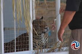 Keren canelon hija desnuda once we got comfortable to each