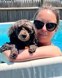 A Schnoodle And A Poodle