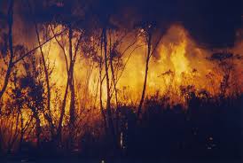 Mapping Bushfires Geoscience Australia