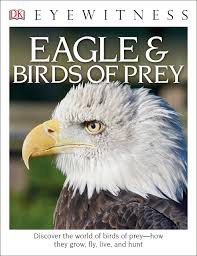 Eagles typically eat fish, crabs, reptiles and amphibians if a prey is in an eagle's sight then they don't stand much chance. Dk Eyewitness Books Eagle And Birds Of Prey Discover The World Of Birds Of Prey How They Grow Fly Live And Hunt Burnie David 9781465451729 Amazon Com Books