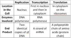Basic Explanation Chart Of Dna Replication Transcription
