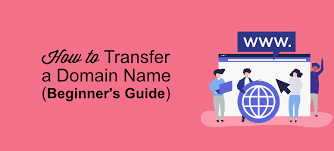 A domain name (this is the name of your blog i.e wpbeginner.com); How To Transfer A Domain Name For Free Step By Step