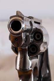 Firearms license application processing includes a state and federal background check, a fingerprint based background check, and a check with the department of mental health. 10 Firearm Experts On How To Write A Firearm Licence Motivation