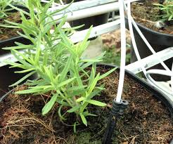 Established in 1997, puncak teknologi (m) sdn bhd (puncak) is a leading system integrator and maintenance service provider for clients in the maritime, aviation, defence, security industry and ict. Pun Chou Pcg Com My