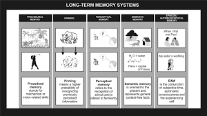 Image result for Memory Evaluation