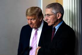 Anthony fauci to testify remotely before senate committee about coronavirus response. Trump Lashes Out At Fauci Amid Criticism Of Slow Virus Response The New York Times