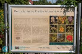 Siehe jahresprogramm öffentlicher themenveranstaltungen bzw. Von Hallers Botanischer Garten Travelgusto