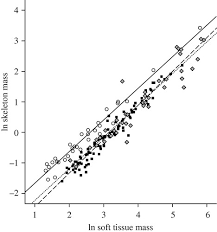 Pneumatic bird bone in cross section. Bone Density And The Lightweight Skeletons Of Birds Proceedings Of The Royal Society B Biological Sciences