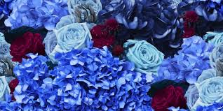 Each flower moxie collection contains the following: To Buy A Bouquet Blue Cheap With Delivery To Riga And Any City In Latvia