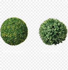 Topiary Trees Balls Factory Ball Hedge Png Image With Transparent Background Toppng How to hedge ride + flying. topiary trees balls factory ball