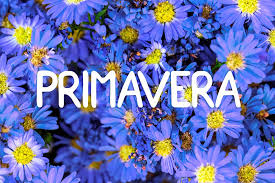 Resultado de imagem para imagem da primavera